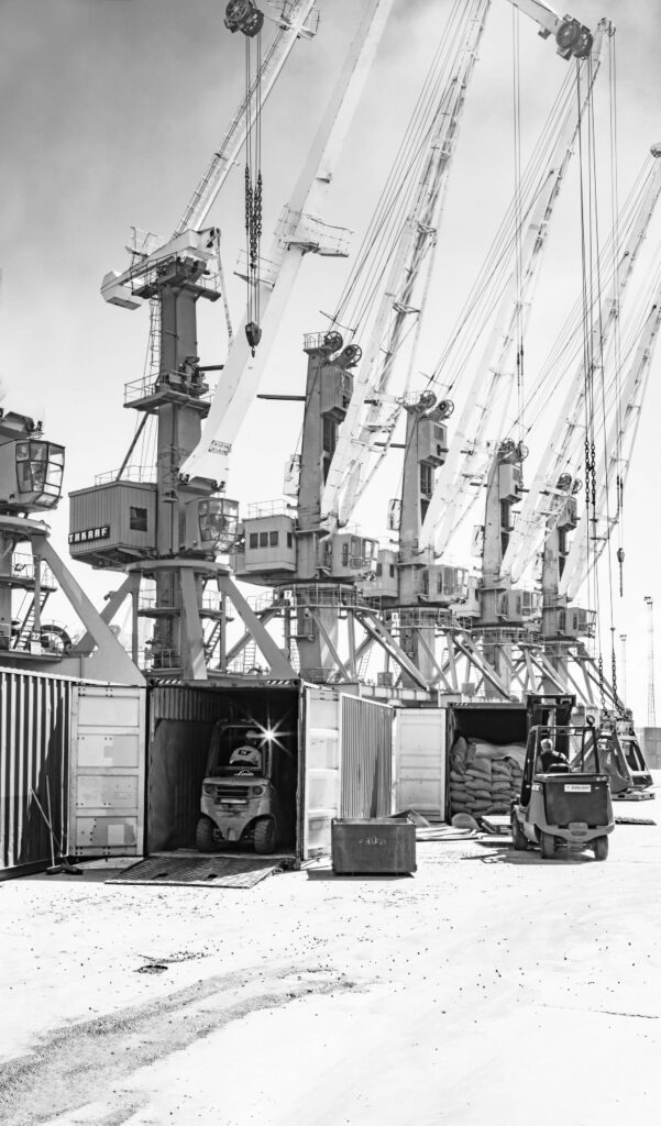 Heavy forklifts in front of harbor cranes